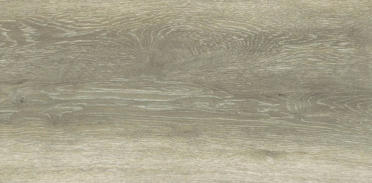 Forest Birch 30x60 - Image 3