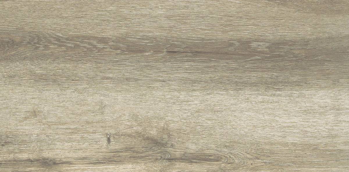 Forest Birch 30x60 - Image 4