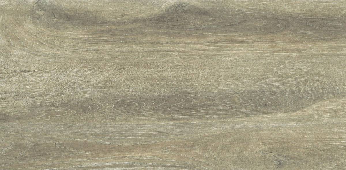 Forest Birch 30x60 - Image 6