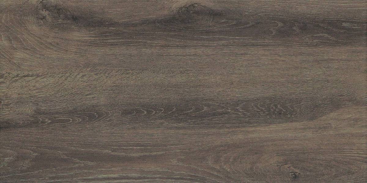 Forest Nut 30x60 - Image 5