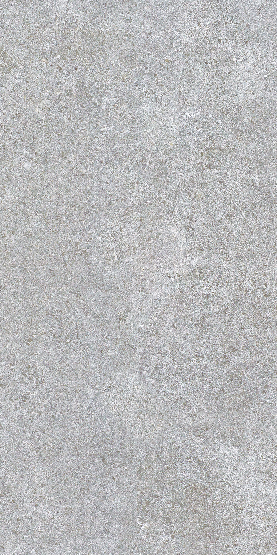 Cortina Grigio 30x60 - Image 6