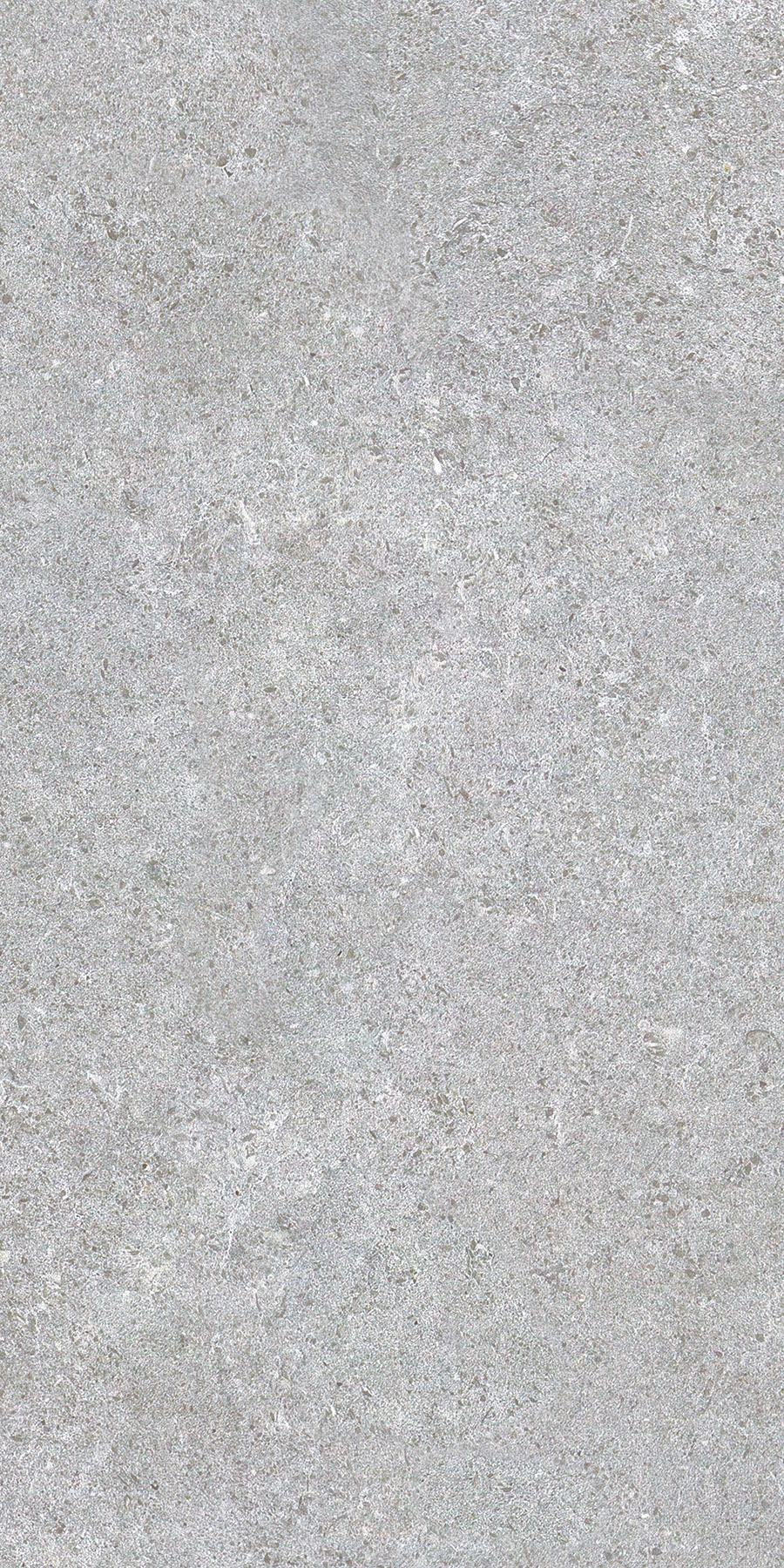 Cortina Grigio 30x60 - Image 5