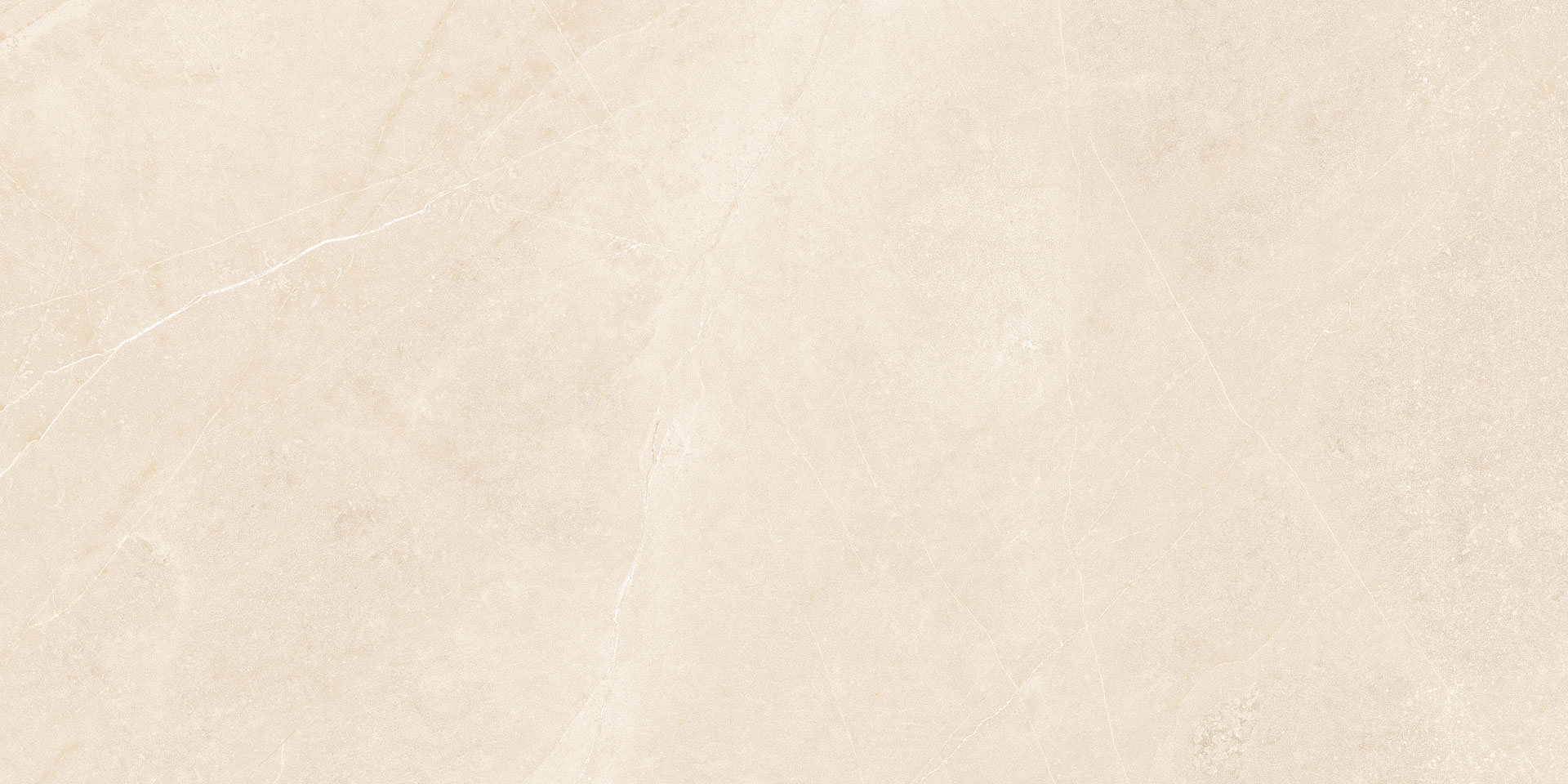 Elegant Beige 30x60 - Image 5