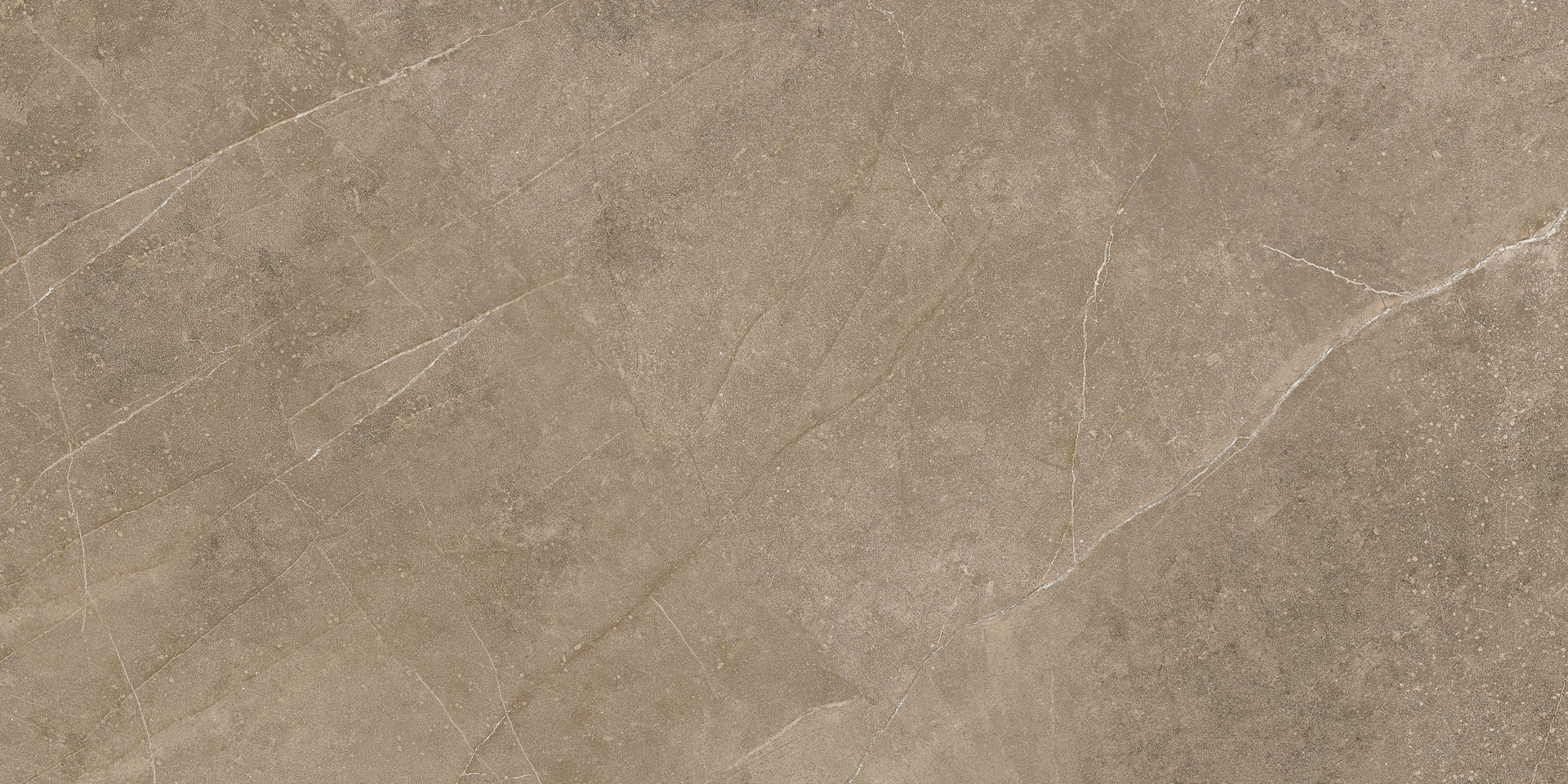 Elegant Taupe 30x60 - Image 4
