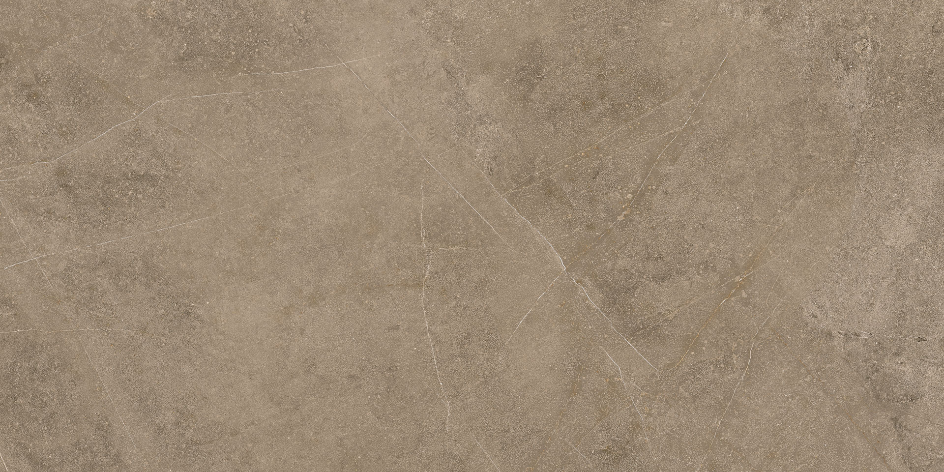 Elegant Taupe 30x60 - Image 8