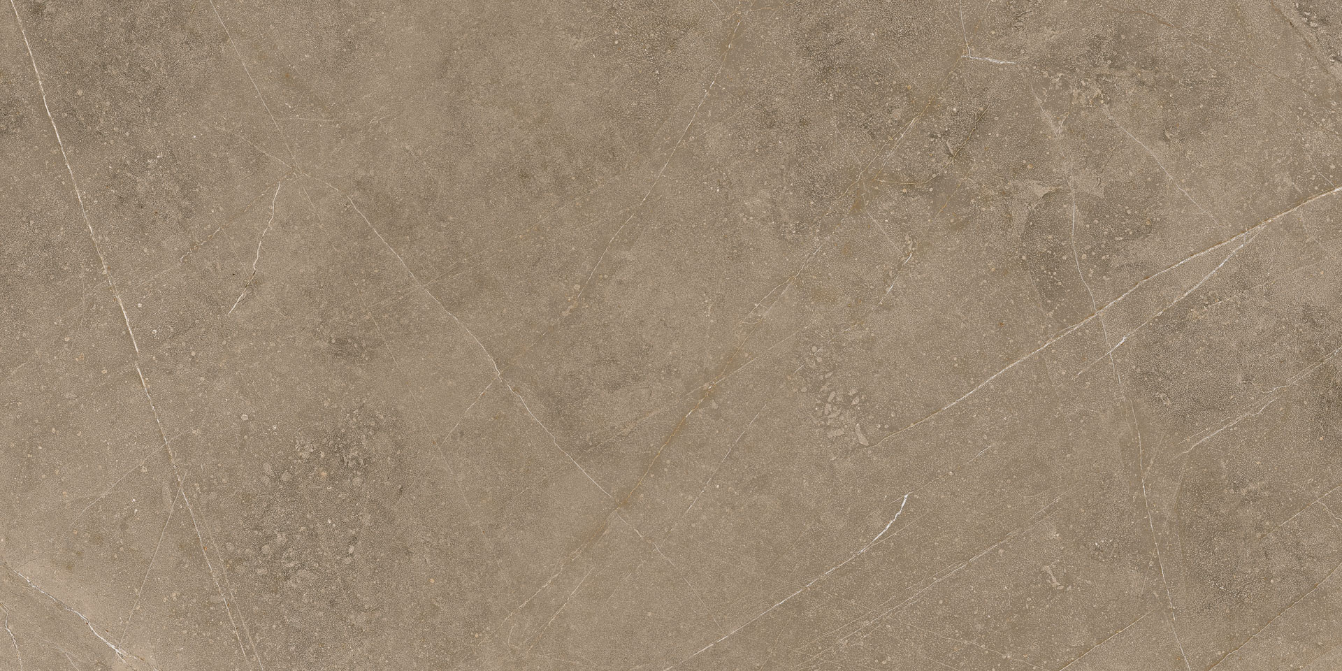 Elegant Taupe 30x60 - Image 9