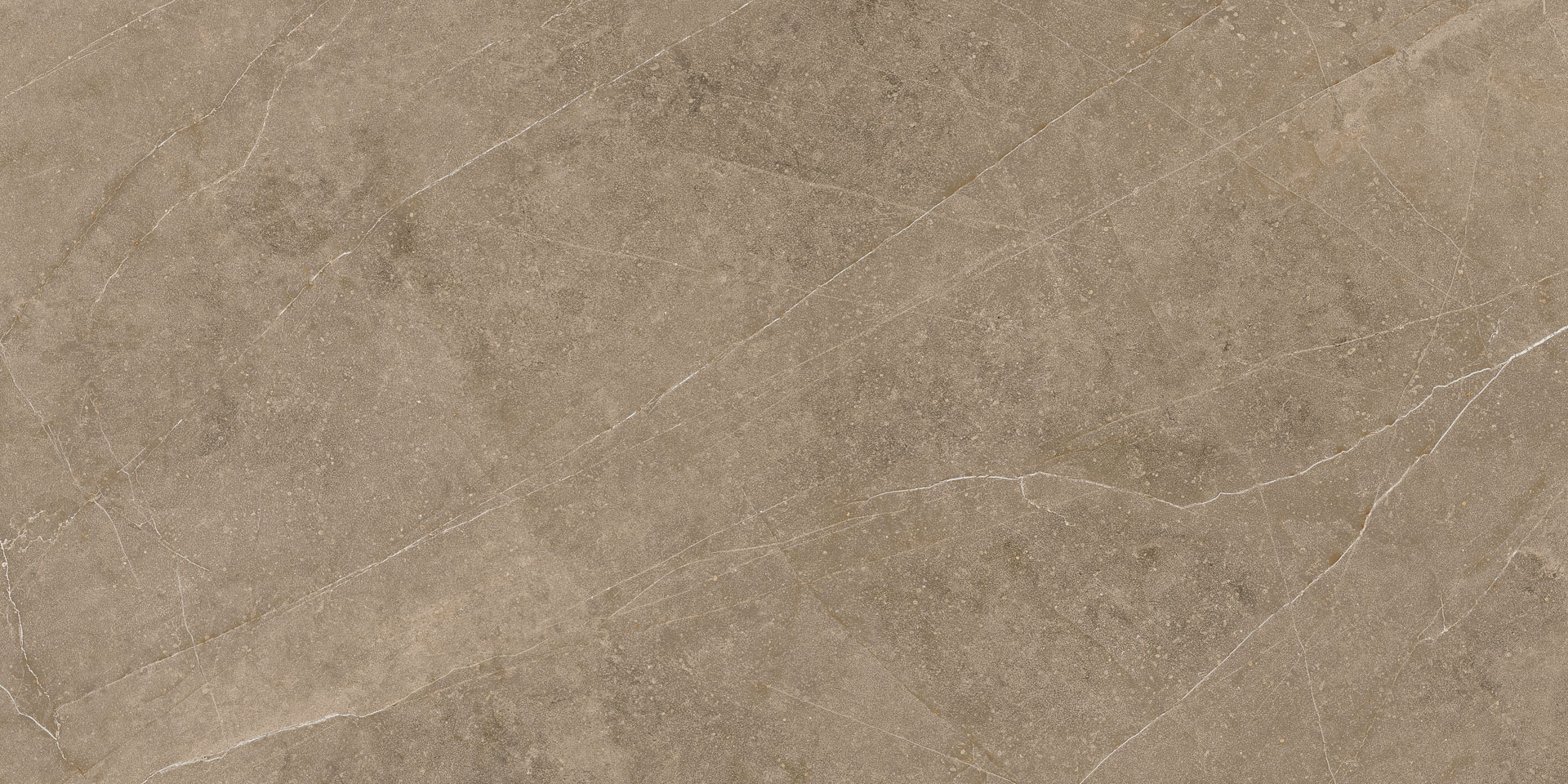 Elegant Taupe 30x60 - Image 10