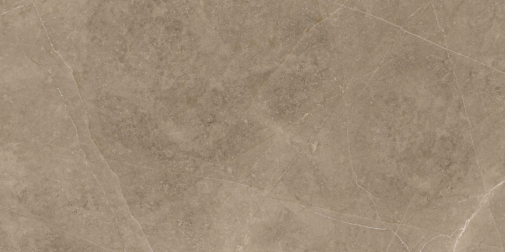 Elegant Taupe 30x60 - Image 11