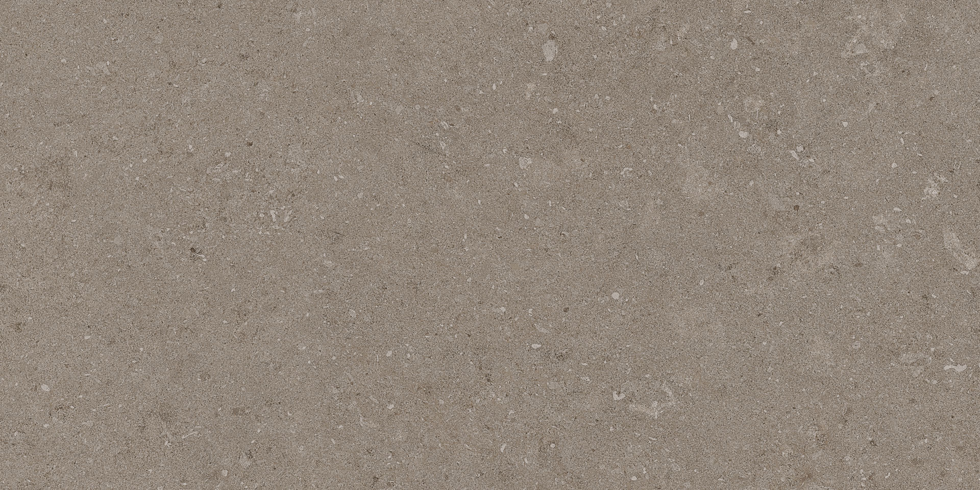 Natural Taupe 30x60 - Image 2