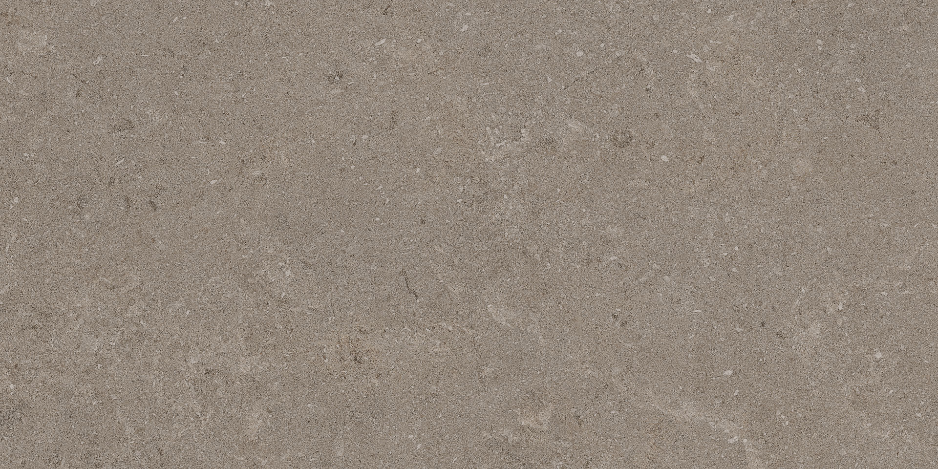 Natural Taupe 30x60 - Image 5