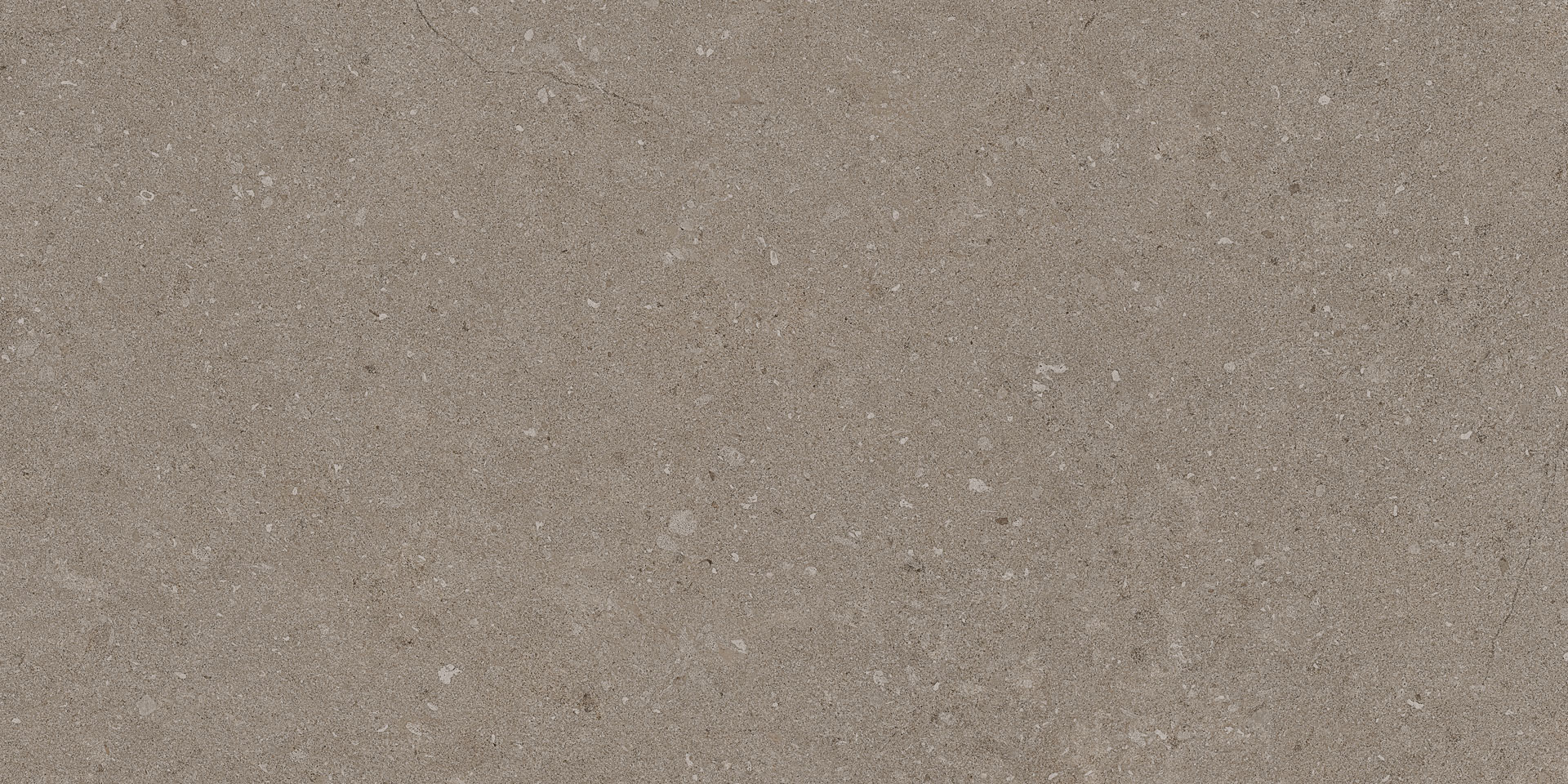 Natural Taupe 30x60 - Image 10